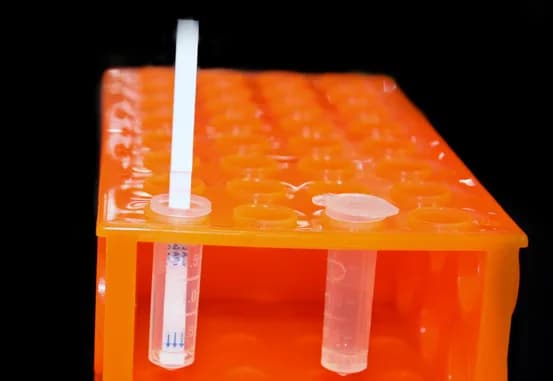 Bandelette de test mycotoxines - Image 2
