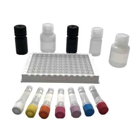 Kit de test ELISA Nitrofuran - Image 1