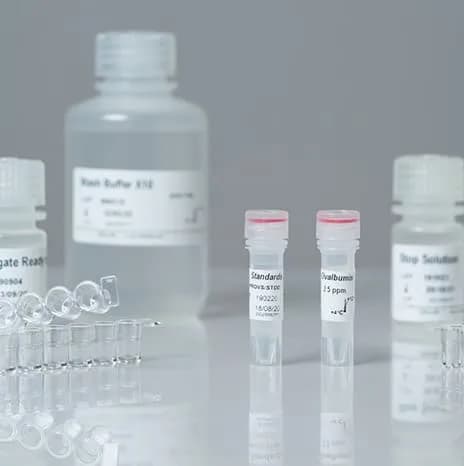 Tests d'allergènes Proteon ELISA - Image 1
